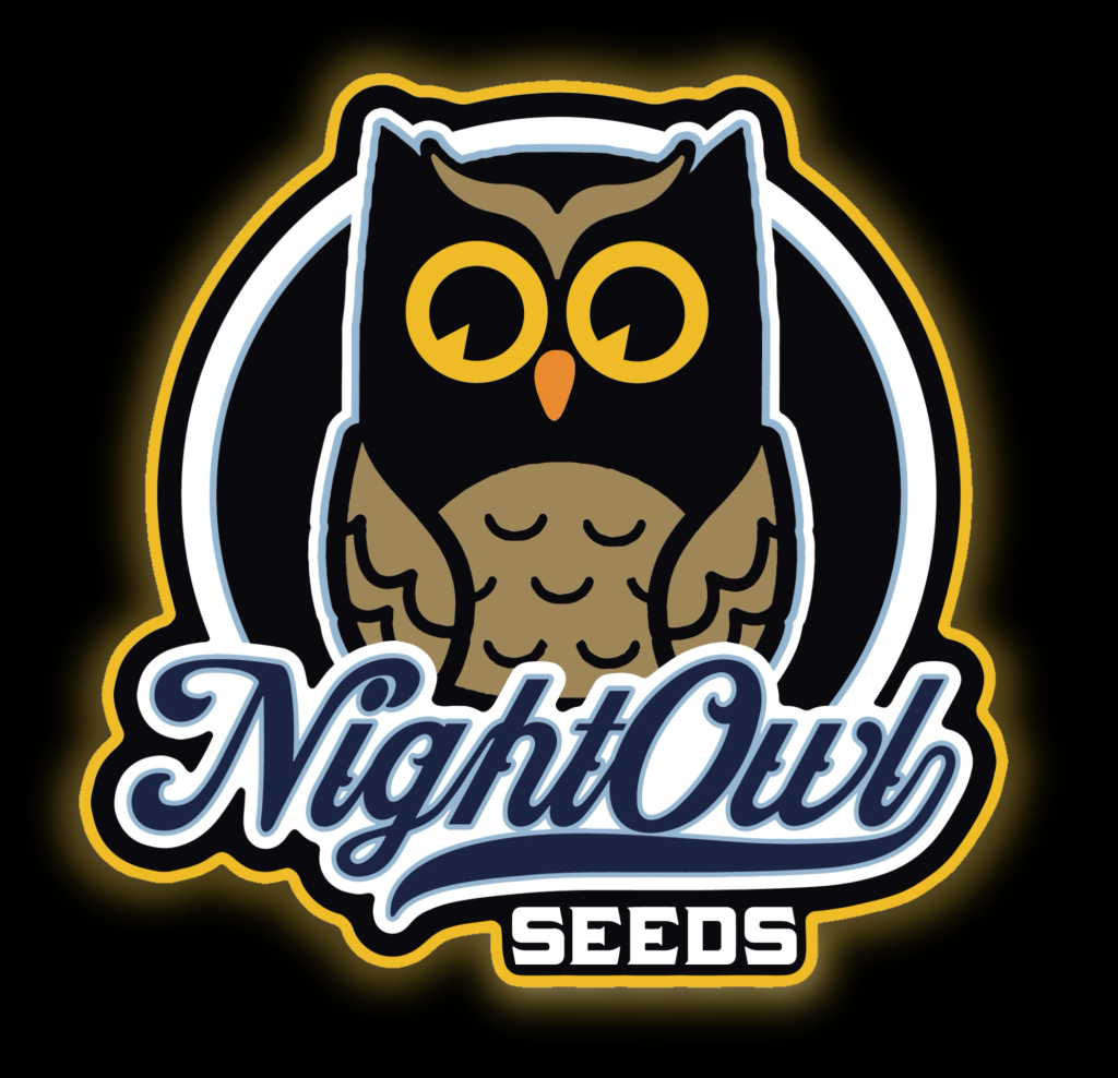 Wizard's Apprentice F4