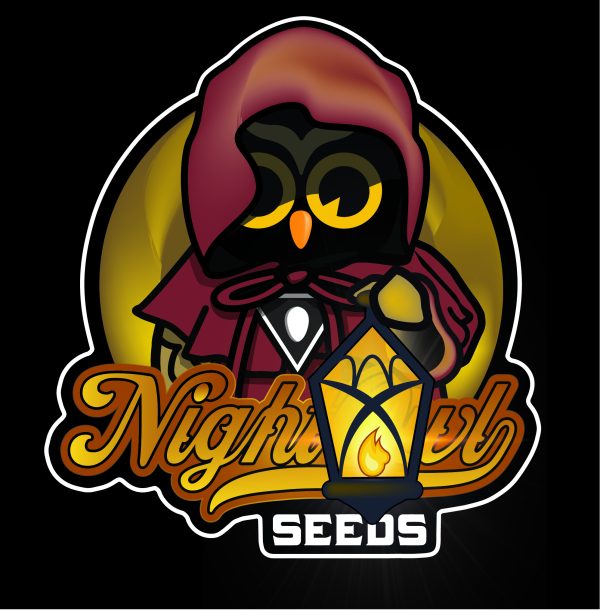 NO SOS Secret Gas Lamp 3 2 2