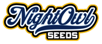 Night Owl Seeds