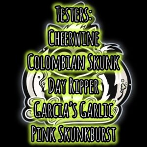 The Testers